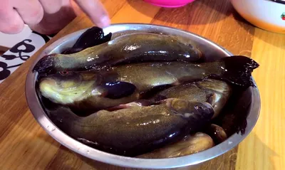 Рыба Линь, я сам не ожидал что так повезет, как его готовить рецепты |  Пикабу