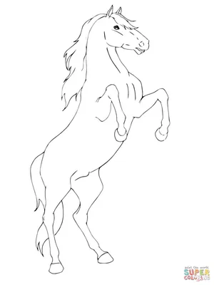 Раскраска Лошадь на дыбах | Раскраски для детей печать онлайн