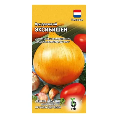 Семена Лук репчатый, Эксибишен, 0.2 г, цветная упаковка, Гавриш в Обнинске:  отзывы, цены, описание и фотографии, специальные цены в интернет-магазине  Порядок.ру