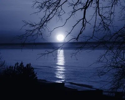 Лунная дорожка на озере - 64 фото