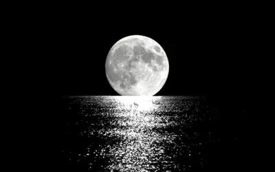 Картинка Лунная дорожка » Черно-белые » Картинки 24 - скачать картинки  бесплатно