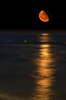 Фото Луна и лунная дорожка на воде, by Edoardo Cocco