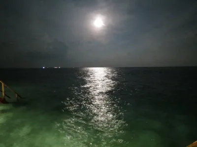 Лунная дорожка над океаном