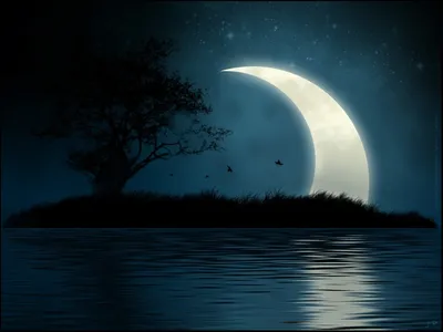 Лунная дорожка на воде ночью - обои на рабочий стол