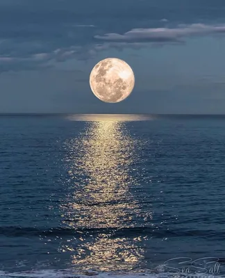 Лунная дорожка на море - 62 фото