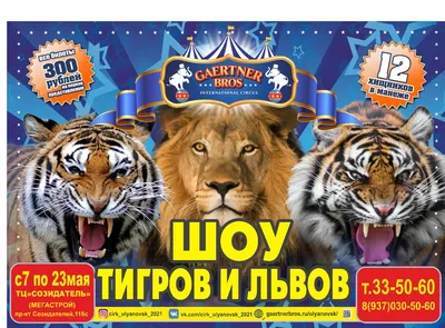 Шоу тигров и львов, международный цирк больших животных братьев Гертнер —  шоу, цирки в Ульяновске