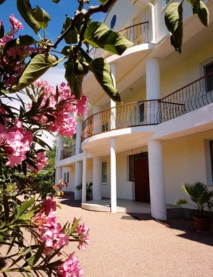 Гостевой дом Фламинго, Малореченское – цены отеля у моря, фото, номера,  контакты