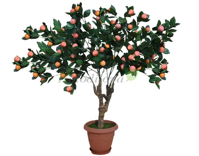 Искусственное мандариновое дерево арт. А-12-04-1 — купить декоративную мандариновое  дерево в магазине Holodilova | низкая цена