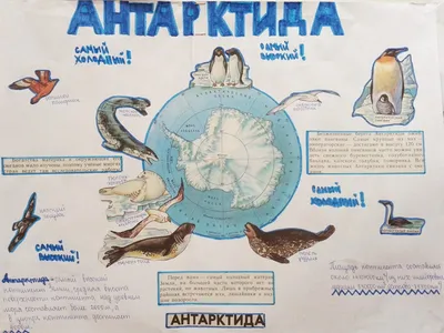 Почему на средневековых атласах Антарктида изображена без льда? | С другого  угла | Дзен