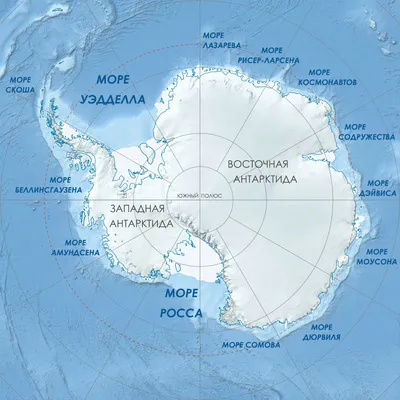 20 фактов об Антарктиде - самом холодном и самом высоком материке на Земле  – Zagge.ru