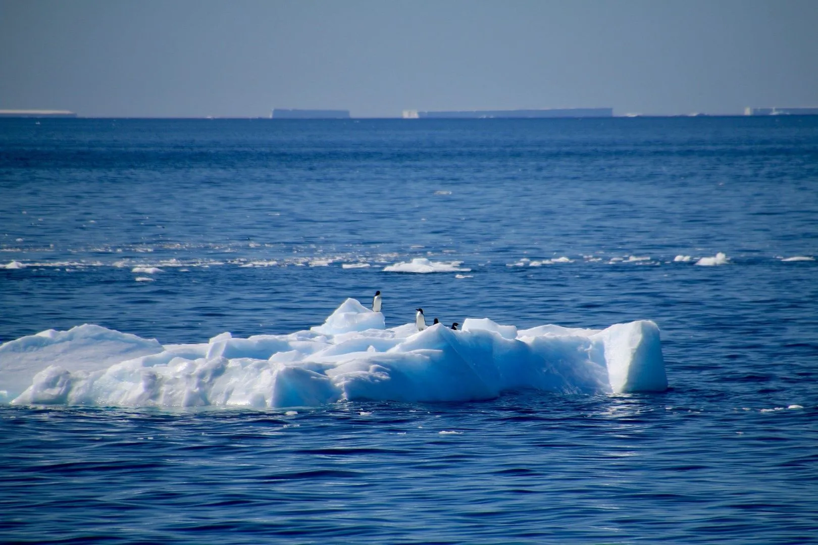 Южный океан г. Море Уэдделла. Море Уэдделла моря Южного океана. Море Уэдделла фото. Южный океан.