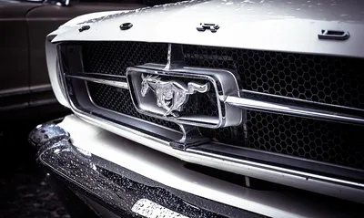Купить модель машины Welly 1:24 Ford Mustang GT в ассортименте, цены в  Москве на СберМегаМаркет