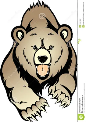 Версус Битвы медведя! Медведь против гризли, бурого медведя - YouTube