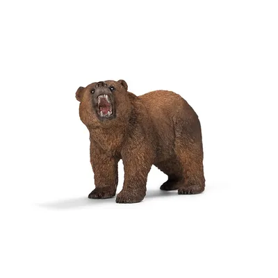 Медведь Гризли - 52 фото