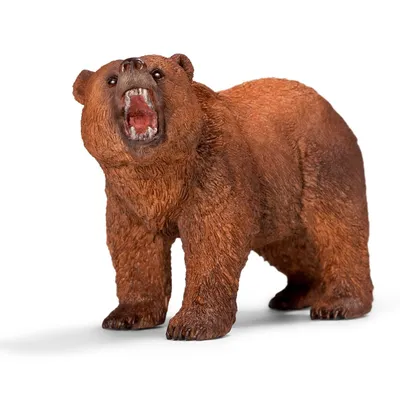 Самый большой медведь гризли - 49 фото