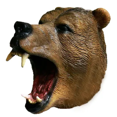 Обои Медведь гризли, картинки - Обои для рабочего стола Медведь гризли фото  из альбома: (животные)