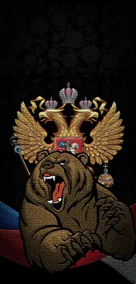 Русский медведь | Изображения медведей, Индейские символы, Герб