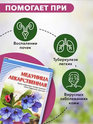 Медуница лекарственная, 50 г. ХОРСТ 12982971 купить за 252 ₽ в  интернет-магазине Wildberries