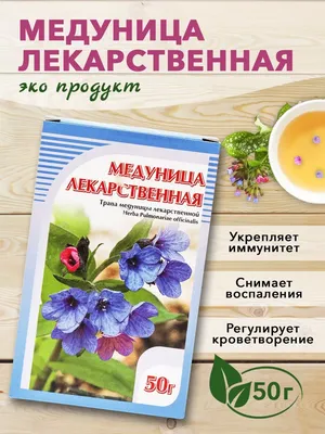 Медуница лекарственная, 50 г. ХОРСТ 12982971 купить за 47 700 сум в  интернет-магазине Wildberries