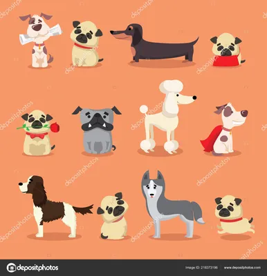 10 фото настолько милых собак, что сразу хочется завести себе такую.  Новости :section-UKR.NET.