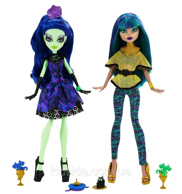 Набор Кукол Monster High Аманита и Нефера (Nefera De Nile \u0026 Amanita) Из  Серии Scream \u0026 Sugar Монстр Хай — Купить Недорого на Bigl.ua (1376739747)