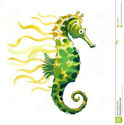 морской конек акварели иллюстрация штока. иллюстрации насчитывающей зеленый  - 112406933