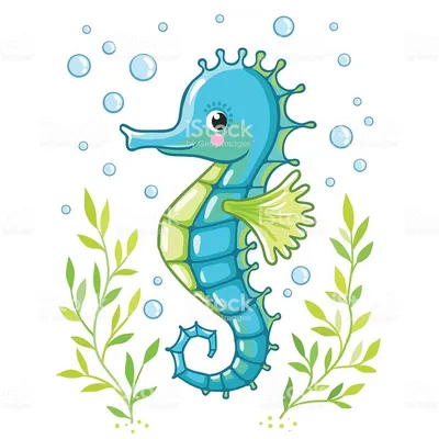Морской конек Рисунок, морской конек, фиолетовый, животные png | PNGEgg