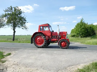 Купить МТЗ 82 Трактор 1986 года в Новосибирске: цена 560 000 руб. -  Тракторы и сельхозтехника