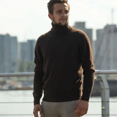 Шерстяной мужской свитер с горлом | Купить с доставкой