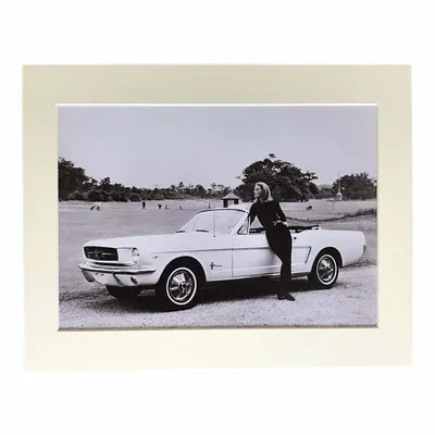 Goldfinger Mustang A4 Mounted Photo | eBay