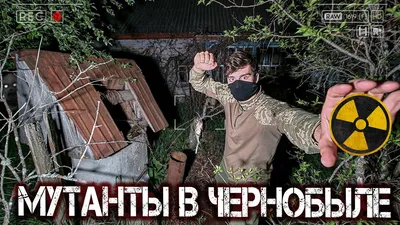 Охота на мутантов в Чернобыле. Оставил скрытые камеры в заброшенной деревне  в Зоне Отчуждения - YouTube