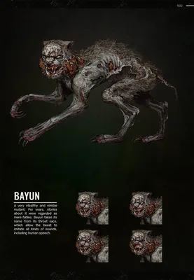 Разработчики S.T.A.L.K.E.R. 2 показали кота-мутанта из Чернобыльской зоны |  gagadget.com