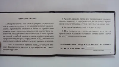Охотники в РФ с 1 июля будут получать бессрочный охотничий билет - РИА  Новости, 30.03.2011