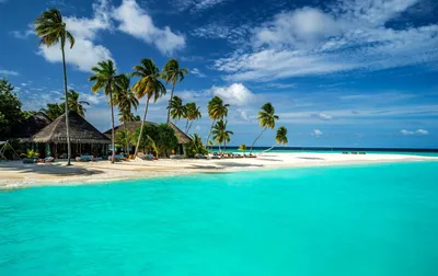 Невероятный пляж на Мальдивах с пальмами - обои на рабочий стол