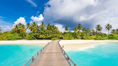 Картинки мальдивы, maldives, курорт, остров, океан, пальмы, рай - обои  1920x1080, картинка №411943
