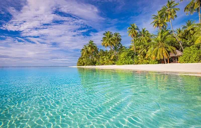 Обои пляж, тропики, пальмы, океан, Мальдивы, Индийский океан картинки на рабочий  стол, раздел пейзажи - скачать