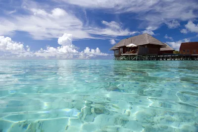 Обои мальдивы, relax, экзотика, отдых, islands maldives, океан, природа на рабочий  стол