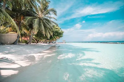 Путешествие на Мальдивские острова Всё включено. Как добраться до отеля? |  Intours online
