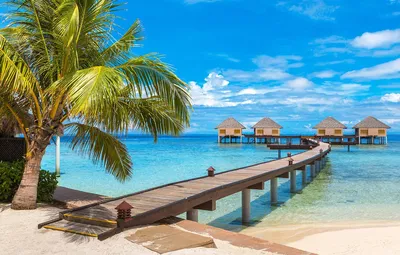 Обои море, пальма, дорожка, Мальдивы, бунгало картинки на рабочий стол,  раздел пейзажи - скачать