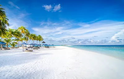 Обои песок, пляж, пальмы, океан, Мальдивы, курорт, Maldives, Finolhu beach  картинки на рабочий стол, раздел природа - скачать