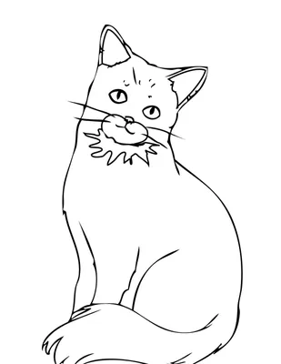 Как нарисовать кошек – ДИКИЙ ХУДОЖНИК