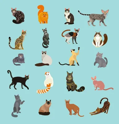 Нарисованные кошки картинки (63 лучших фото)