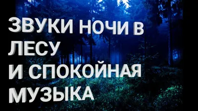 Картинки природа, красота, пейзаж, ночь, ночной, небо, звёзды, звезда, лес,  поляна, дерево, свет, облака - обои 1600x900, картинка №349861