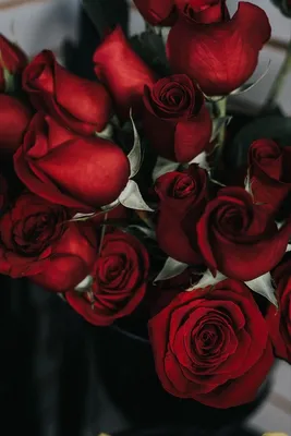 800x1200 Обои розы, букет, красный, лепестки | Red roses, Rose day wallpaper,  Rose