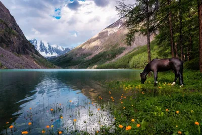 Видео] «nature, природа России» в 2022 г | Картины пейзажа, Пейзажи, Природа  | Картины пейзажа, Пейзажи, Живописные пейзажи