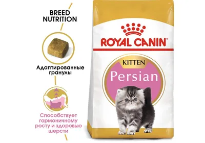 Купить Royal Canin Persian Kitten Сухой корм для персидских котят до 12  месяцев в Ростове-на-Дону, Таганроге, Краснодаре, Армавире | ruZoomag.ru