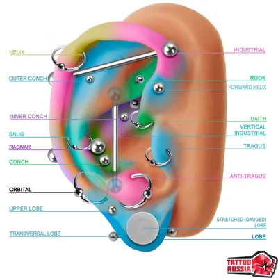 Пирсинг уха - виды, особенности, техника.