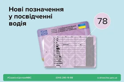 В Украине начали выдавать водительские права нового образца: что изменилось