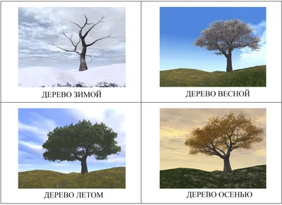 Времена года картинки для детей