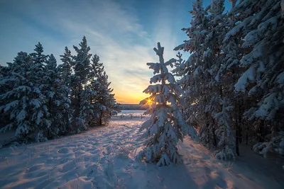 Зима Якутии, вспомним красоту зимы (ФОТО) | Пикабу